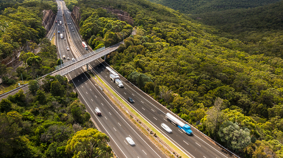 Navigating AS 3850.1:2015 vs. New TfNSW Placement Requirements